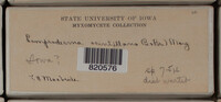 Image Associated With the Occurence